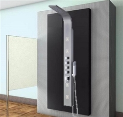 Frameless Glass Shower Panel